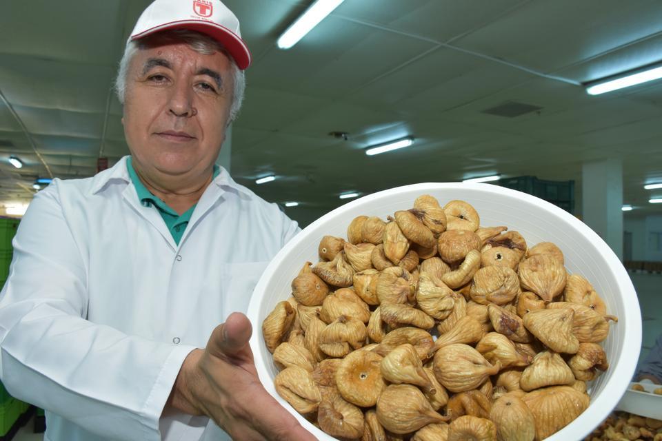 Türkiye'nin en önemli kuru incir üretim merkezlerinden Aydın'da, 1 kilogram incirin 35 liraya satılması üreticiyi sevindiriyor. Aydın'da 37 bin hektarda üretilen incir, kentin önemli geçim kaynakları arasında yer alıyor. Ağustosta başlayan hasat döneminde meyvenin bir bölümü yaş olarak satışa sunulurken önemli kısmı kurutuluyor. TARİŞ İncir Birliği Başkanı Mustafa Bircan, incirin kalitesinin, "ballılık" oranının ve görüntüsünün çok güzel olduğunu söyledi. ( Necip Uyanık - Anadolu Ajansı )