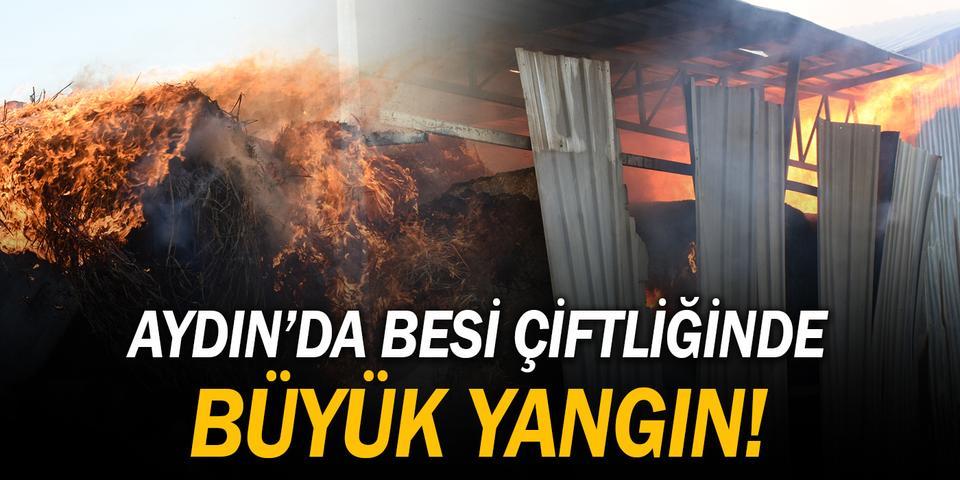 Aydın'ın Germencik ilçesinde bir besi çiftliğinin yaklaşık 300 ton yem ve kuru otun bulunduğu deposunda çıkan yangın söndürüldü.  ( Necip Uyanık - Anadolu Ajansı )