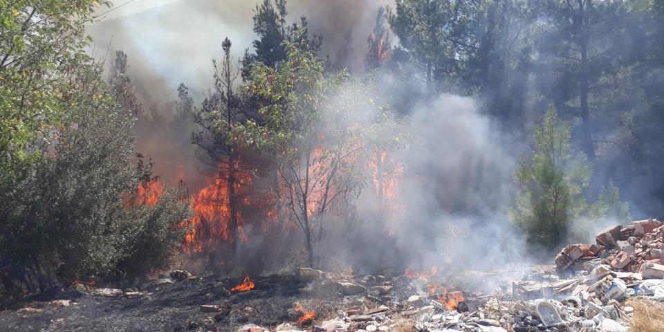 Denizli'nin Pamukkale ilçesinde yol kenarında başlayan ve ormanlık alana sıçrayan yangın söndürüldü. ( Denizli Orman Bölge Müdürlüğü - Anadolu Ajansı )