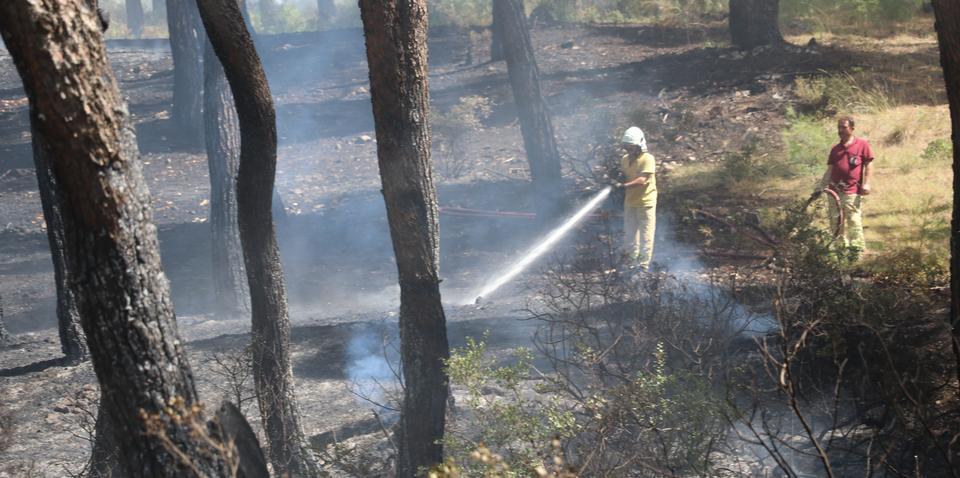 Manisa'nın Şehzadeler ilçesinde çıkan orman yangını, ekiplerin müdahalesiyle kısa sürede söndürüldü. ( Ahmet Bayram - Anadolu Ajansı )