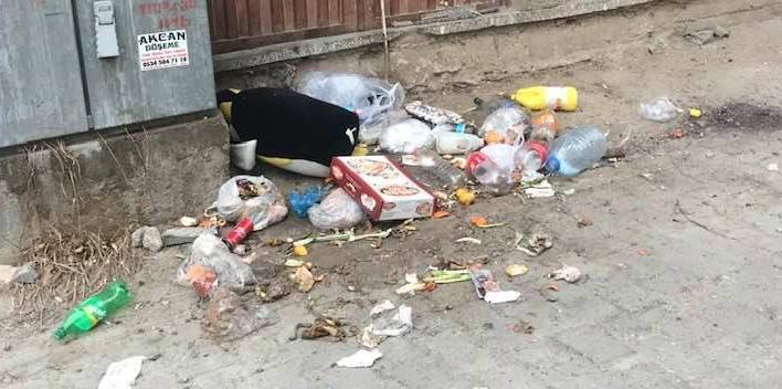 Koronavirüs nedeniyle topyekün temizlik seferberliği başlatılırken Çine'de duyarsız kimseler tarafından sokağa atılan çöpler tepki topladı.
