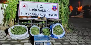 İzmir'de düzenlenen uyuşturucu operasyonlarında 15 kilogram esrar, 862 kök Hint keneviri ele geçirildi.
