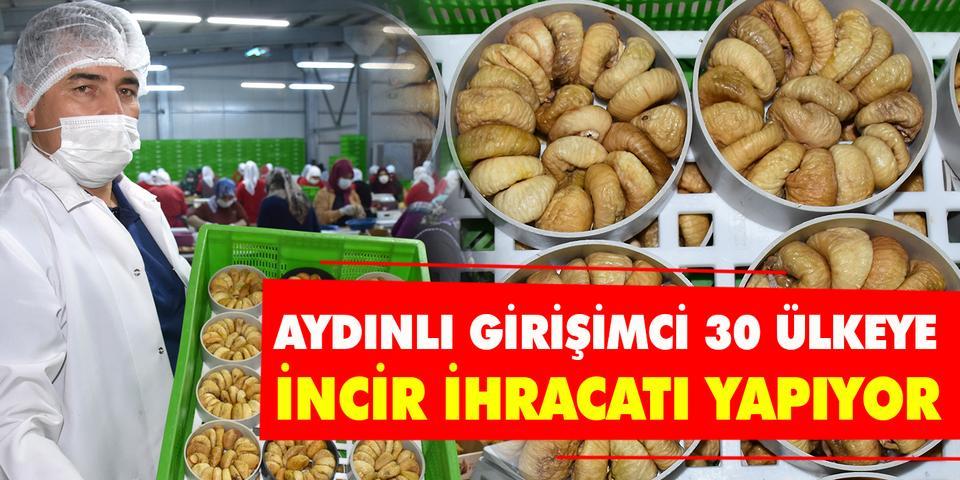 Aydın'ın Germencik ilçesinde devletten aldığı 480 bin liralık hibeyle incir işletme tesisi kuran girişimci, işlediği ürünleri 30 ülkeye ihraç ediyor. ( Necip Uyanık - Anadolu Ajansı )