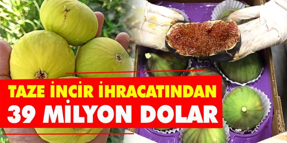 Türkiye bu sezon yaş incir ihracatından yaklaşık 2 aylık dönemde 39 milyon 306 bin dolar döviz girdisi sağladı. Ege Yaş Meyve Sebze İhracatçıları Birliği Başkanı Hayrettin Uçak (fotoğrafta), üretici ve ihracatçıların bereketli bir sezon geçirdiğini söyledi.  ( Ege İhracatçı Birlikleri - Anadolu Ajansı )