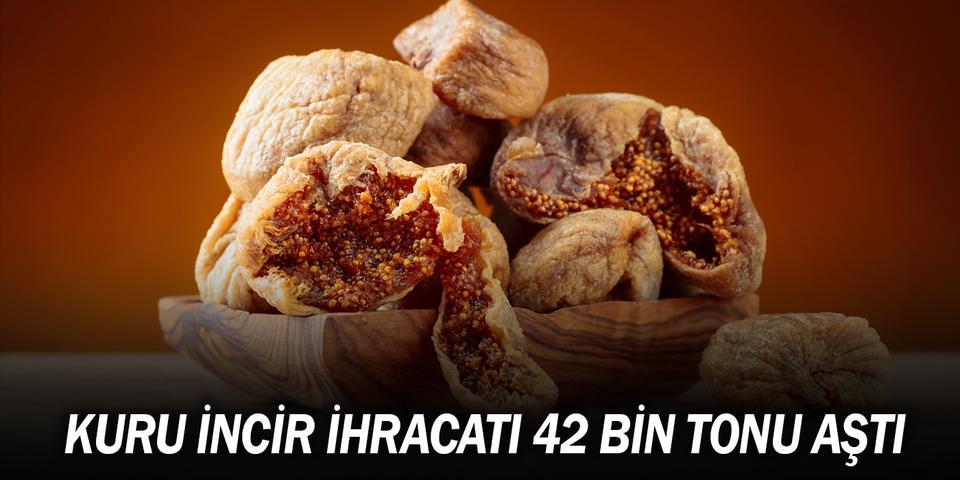 Aydın’ın en önemli gelir kaynağı ve cennet meyvesi olarak tanımlanan kuru incirden 2020/21 sezonunda elde edilen ihracat geliri yüzde 2’lik artışla 158 milyon dolara ulaştı.