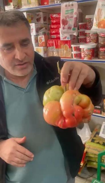 1 kilo 400 gramlık domates hayrete düşürdü