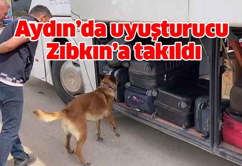 Aydın’da 758 gram uyuşturucu Zıbkın’a takıldı