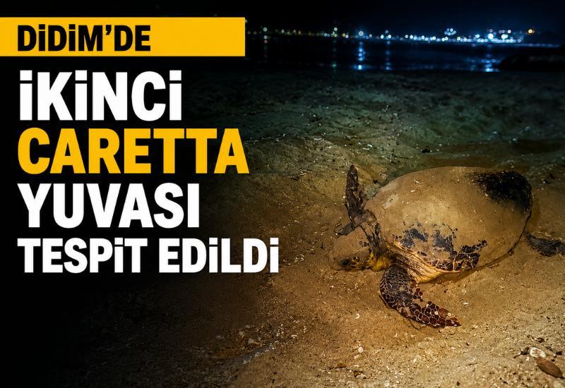 Didim'de ikinci Caretta yuvası tespit edildi