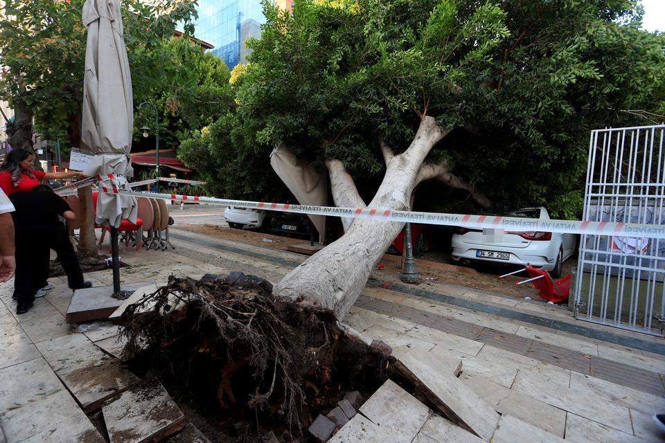 Ağaç devrildi, faciadan dönüldü