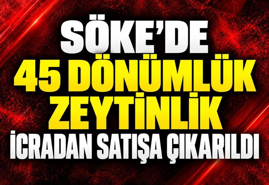 Söke'de 45 dönümlük zeytinlik icradan satışa çıkarıldı