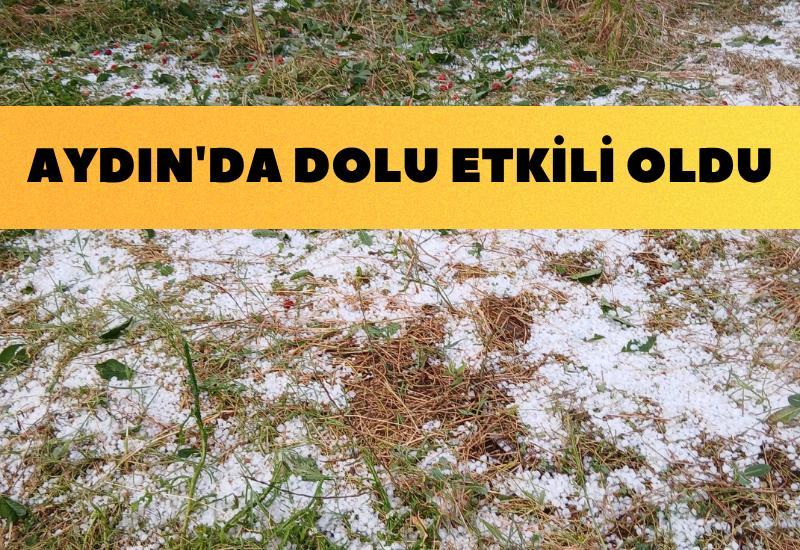 Aydın'da dolu etkili oldu