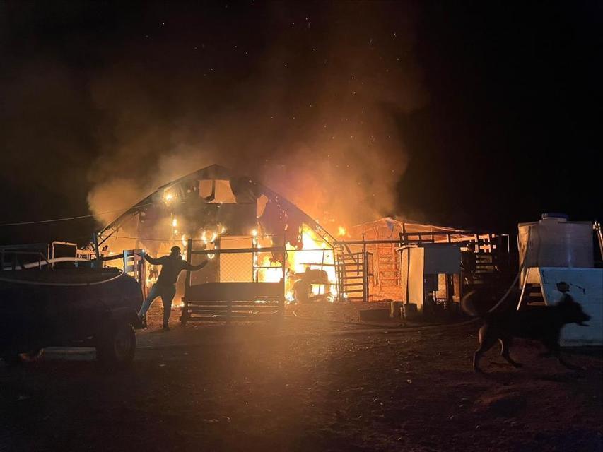 Çiftlikte yangın: 580 hayvan telef oldu