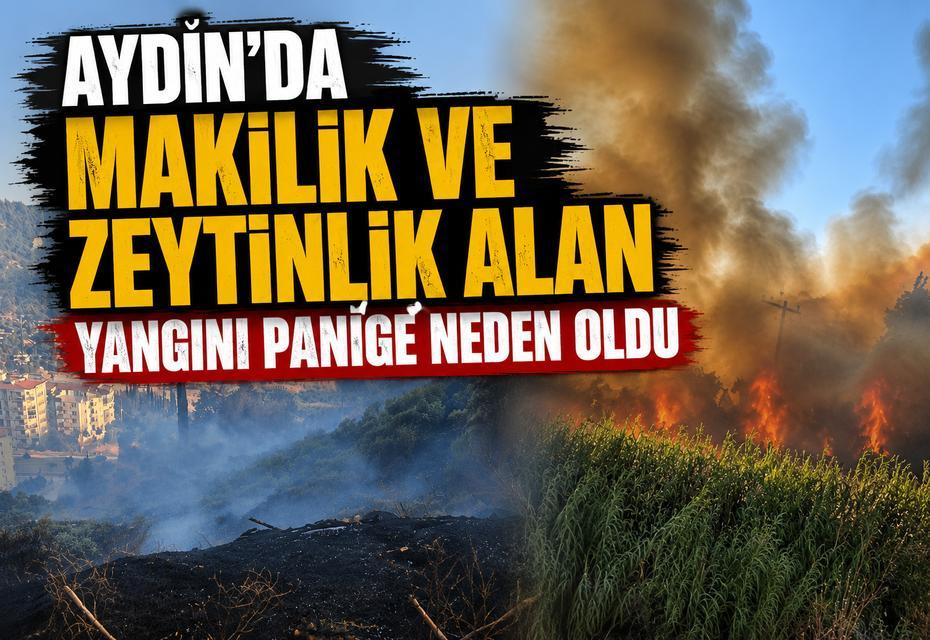 Aydın'da makilik ve zeytinlik alan yangını paniğe neden oldu