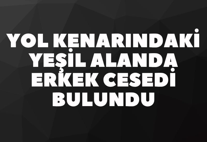 Yol kenarındaki yeşil alanda erkek cesedi bulundu