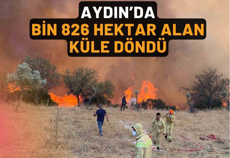 Aydın’da bin 826 hektar alan küle döndü