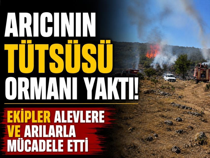 Arıcının tütsüsü ormanı yaktı, Ekipler alevlerle ve arılarla mücadele etti