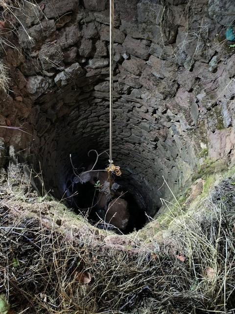 Su kuyusuna düşen ineği ekipler kurtardı