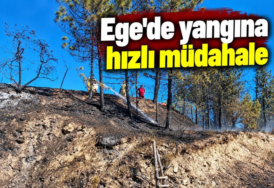 Ege'de yangına hızlı müdahale