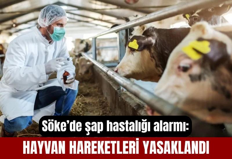 Söke’de şap hastalığı alarmı: Hayvan hareketleri yasaklandı