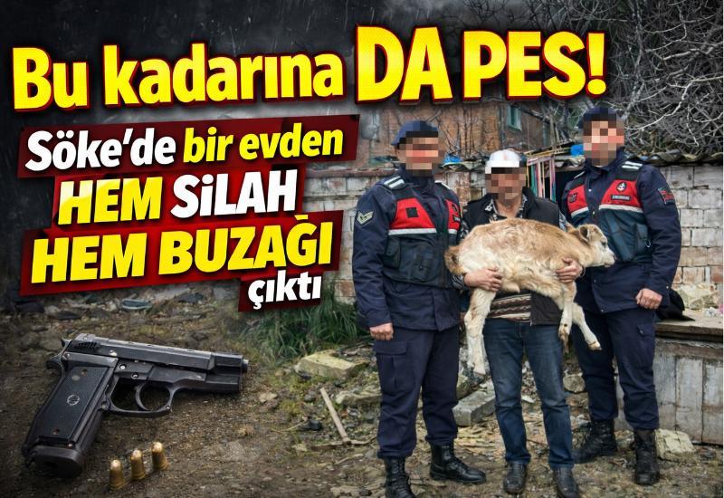 Bu kadarına da pes! Söke’de bir evden hem silah hem buzağı çıktı