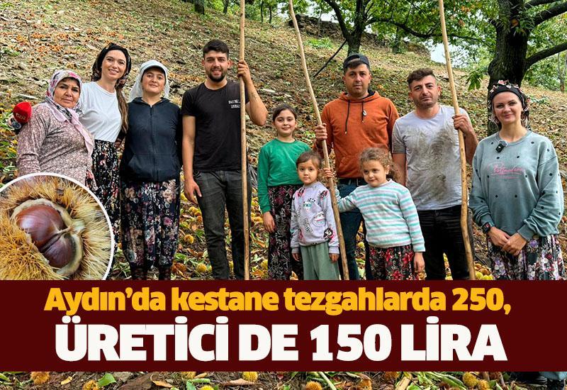 Aydın’da kestane tezgahlarda 250, üretici de 150 lira