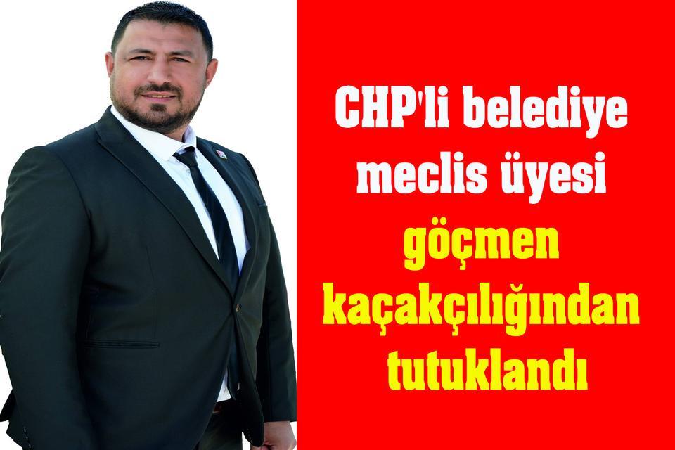 CHP'li belediye meclis üyesi göçmen kaçakçılığından tutuklandı