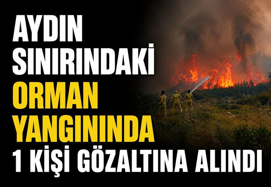 Aydın sınırındaki orman yangınında 1 kişi gözaltına alındı