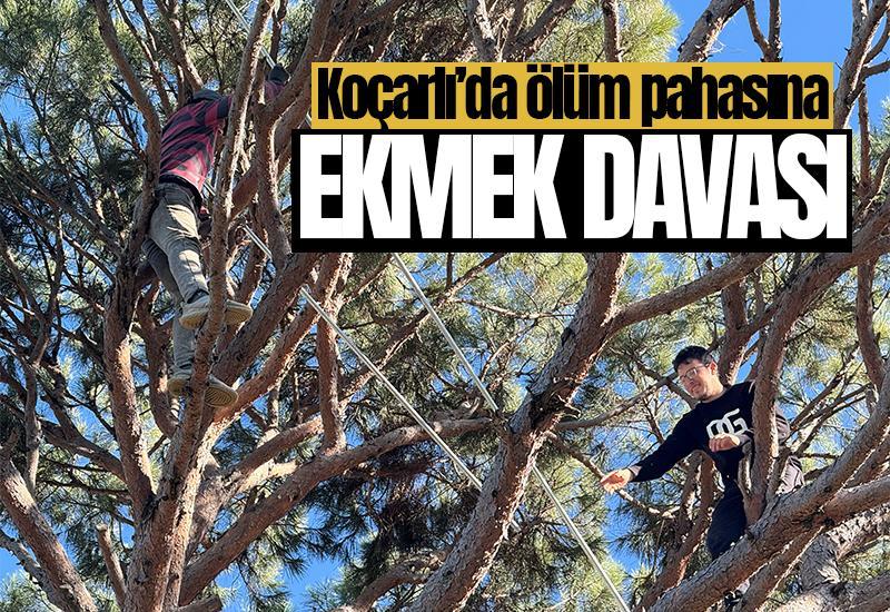 Aydın'da ölüm pahasına ekmek davası