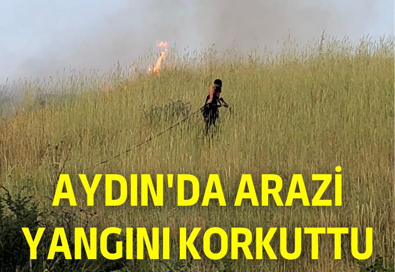 Aydın'da arazi yangını korkuttu
