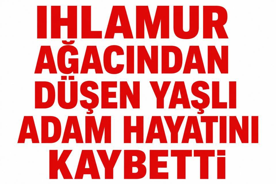 Ihlamur ağacından düşen yaşlı adam hayatını kaybetti
