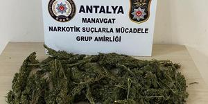 Manavgat'ta uyuşturucu operasyonunda 1 kişi yakalandı