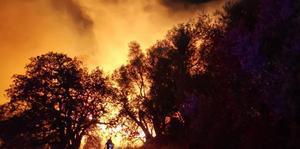 Muğla'nın Bodrum ilçesinde yerleşim bölgesine yakın bir bölgedeki tarım arazisi ve makilik alanda çıkan yangına müdahale edildi. ( Bodrum İtfaiye Amirliği - Anadolu Ajansı )