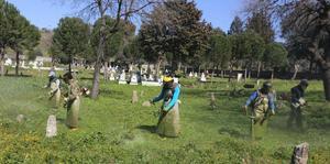 Efeler Belediyesi Mezarlıklar Müdürlüğü ekipleri, ilçe genelindeki 83 mahallede bulunan toplam 117 mezarlıkta gerçekleştirdiği bakım ve yabani ot temizliği çalışmalarına büyük bir hızla başladı.