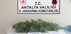 Antalya'da uyuşturucu operasyonunda bir kişi yakalandı
