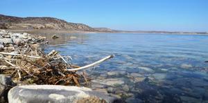 Kütahya ve Eskişehir'in su kaynağı Porsuk Barajı'nda seviye artıyor