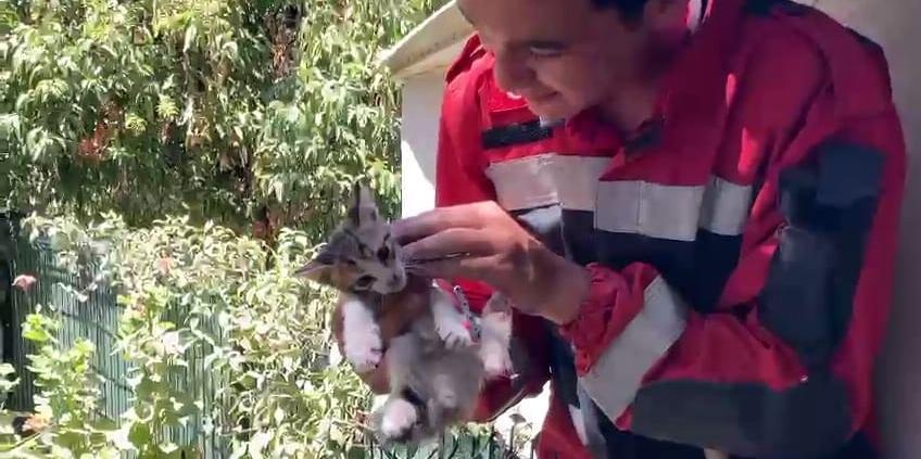 Bodrum'da iki duvar arasında sıkışan kedi yavrusu kurtarıldı