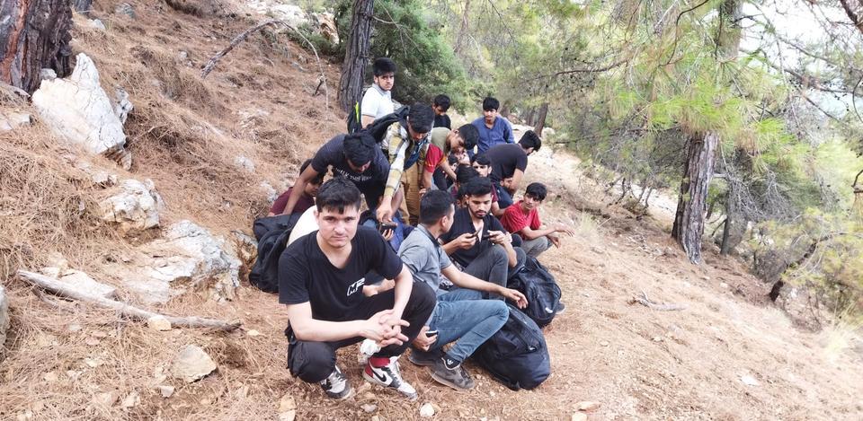 Muğla'da ormanlık alanda 72 düzensiz göçmen yakalandı
