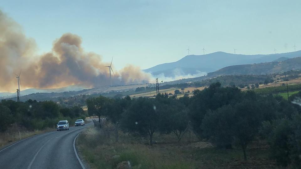 İzmir'de tarım alanında çıkan yangına müdahale ediliyor