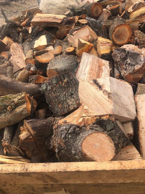 Afyonkarahisar'da ormanda kaçak ağaç kesen kişiye işlem yapıldı