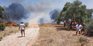 Muğla’da çıkan iki arazi yangını söndürüldü