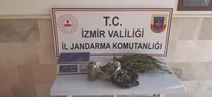İzmir'in Bayındır ilçesinde 3 kilo 200 gram esrar, 20 gram metamfetamin, 187 kök Hint keneviri ele geçirildi, 2 kişi gözaltına alındı. ( İzmir İl Jandarma Komutanlığı - Anadolu Ajansı )