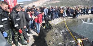Muğla'da tarladan balık hasadı yapıldı