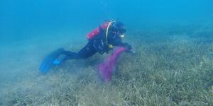Bodrum'da dalgıçlar deniz dibi, öğrenciler de kıyı temizliği yaptı