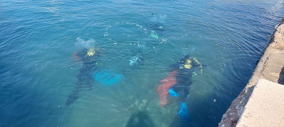 Marmaris'teki balıkçı barınaklarında deniz dibi temizliği yapıldı