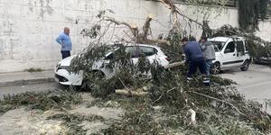 İzmir'de rüzgar nedeniyle 2 otomobilin üzerine ağaç devrildi