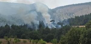 Kütahya'da kontrol altına alınan orman yangınında soğutma çalışmaları sürüyor