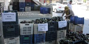 Antalya'da bir çiftçi serada yetiştirdiği 800 kilo patlıcanı ücretsiz dağıttı