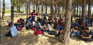 Muğla'da ormanlık alanda 81 düzensiz göçmen yakalandı