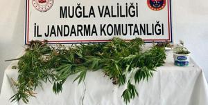 Muğla'da uyuşturucu ticareti yapan şüpheli yakalandı
