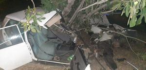 Aydın'da ağaca çarpan otomobilin sürücüsü yaralandı